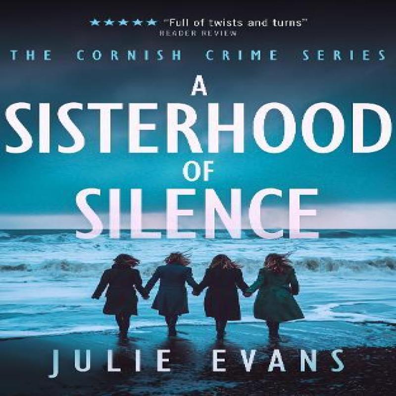 A Sisterhood of Silence by Julie Evans Paperback Book 9781036702069