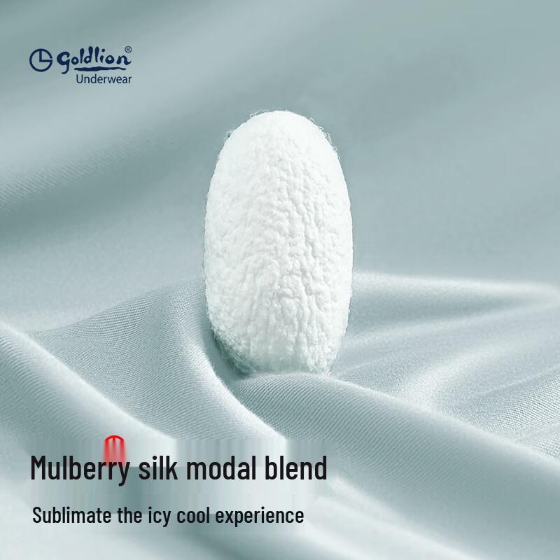 Goldlion Herren Modal Seide Antibakterielle Boxerbriefs