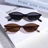 Stylish Unisex Oval Fashion Glasses - Small Frame Fashionable and Versatile Accessory for Everyday Style