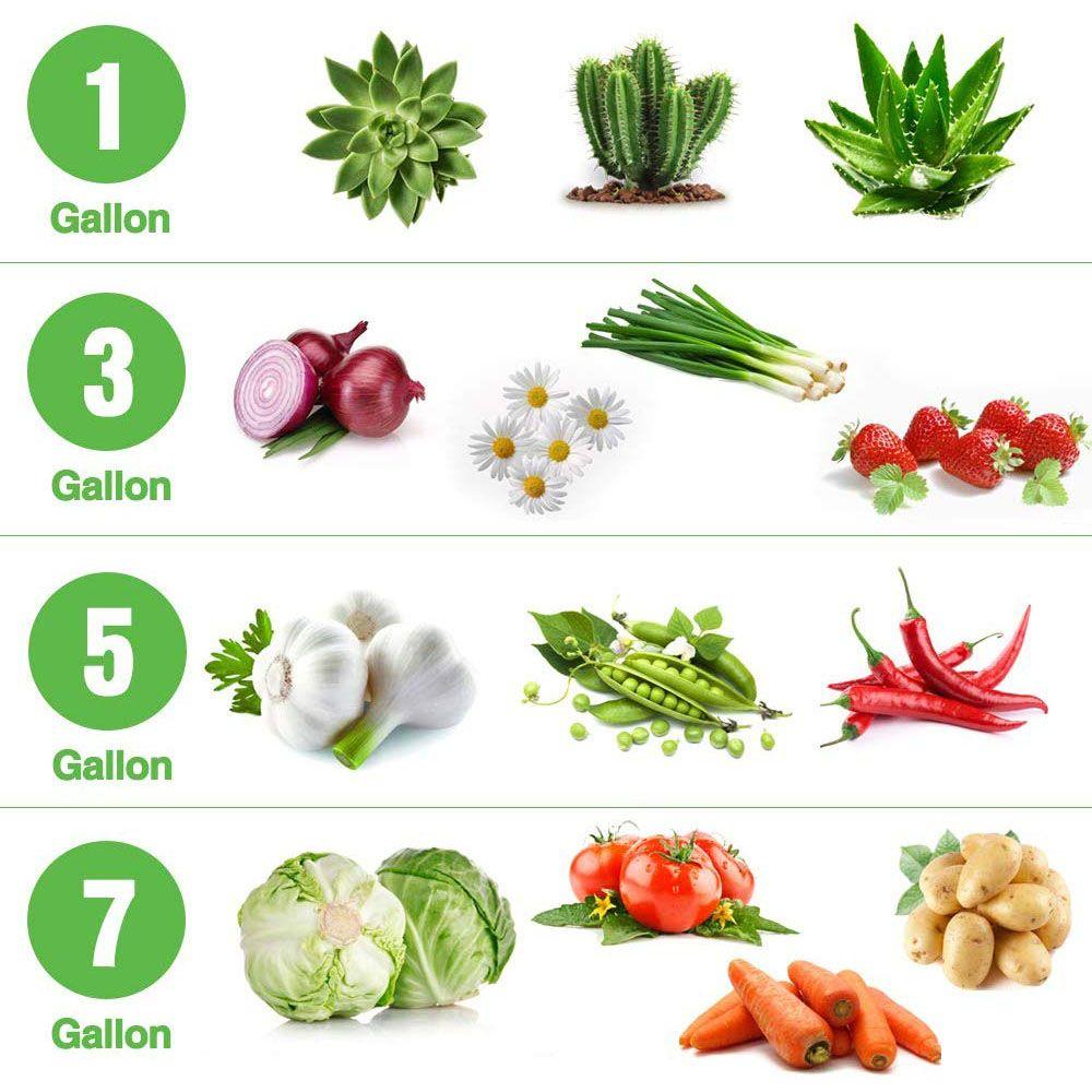 Garden Planting Container Basket Vegetable Flower Pot Felt 5/7/10 Gallon Plant Grow Bag