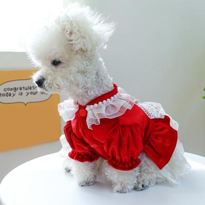 Charmante robe de princesse pour chien, nœud papillon, bordure en dentelle, coutures en maille respirante, vêtements pour petits chiens Chihuahua