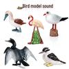 Children's Bird Model Toys: Red-billed Gull, Flamingo, Cormorant, Kingfisher, Blue-footed Booby Ornaments