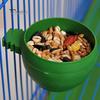 Bird Feeding Bowl Food Water Cup Holder Pigeon Cage Feeder