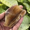 Natural Multicolor Fluorite Uncut Rough 474.4 Ct Earth Mined Gemstone