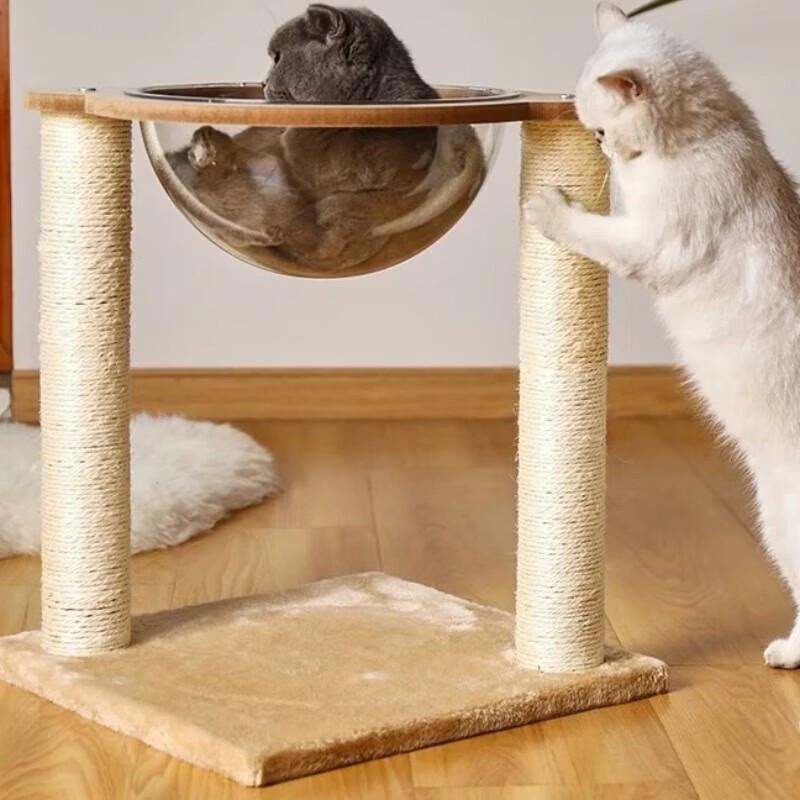 Transparent Cat House and Summer Bed