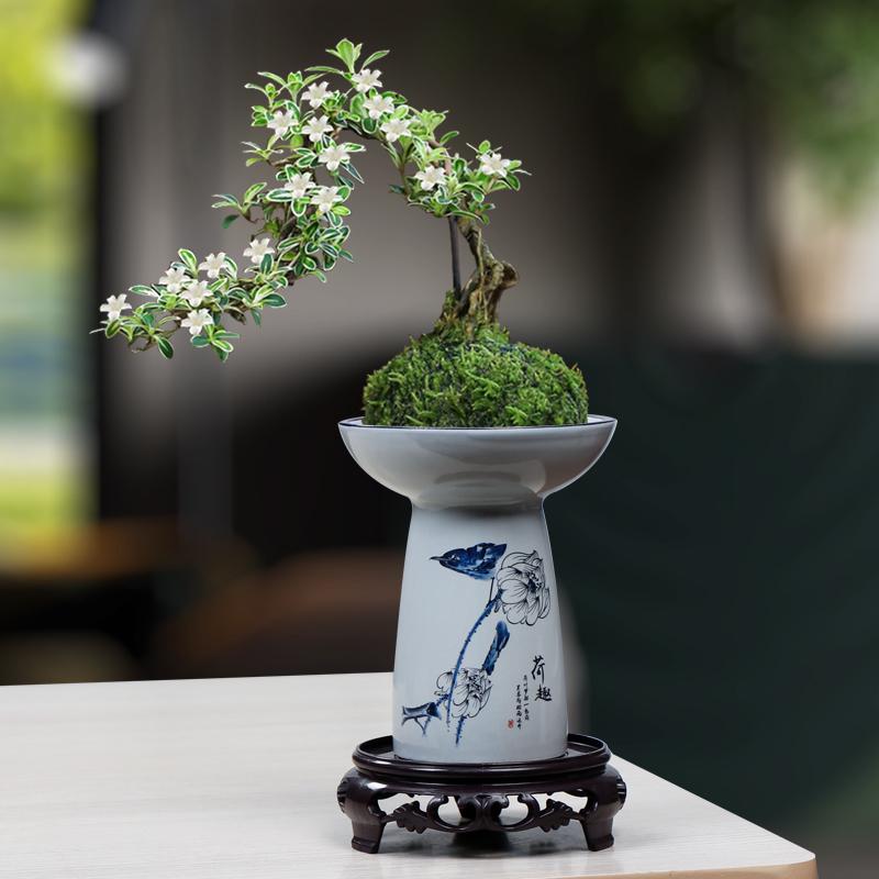 Blue & White Porcelain Flower Pot with Tray for Asparagus Fern, Money Tree, Orchid, Succulents & Bonsai