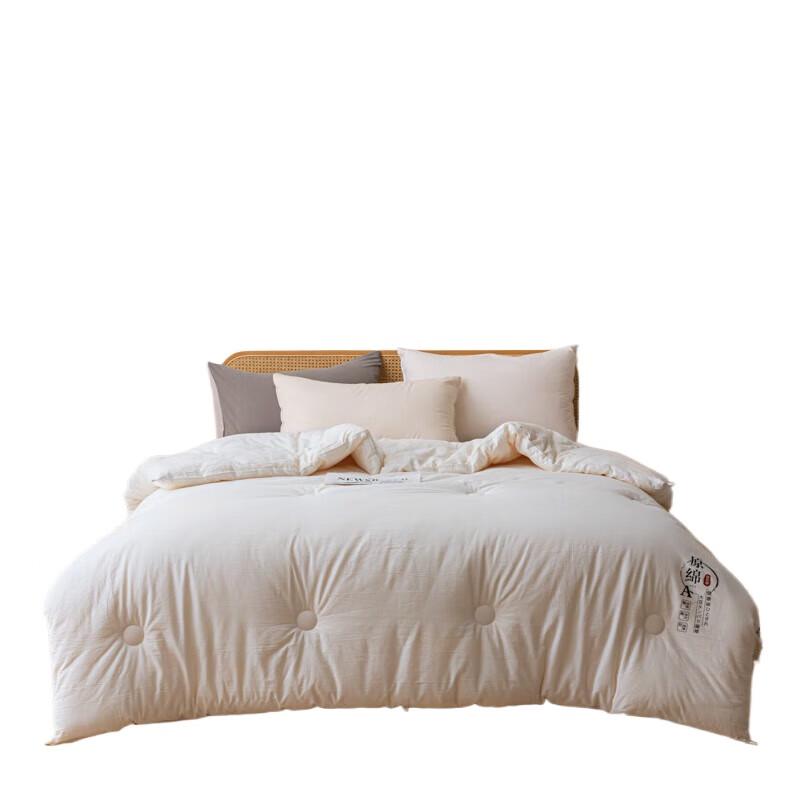 BAIWEISI Soy Protein Blended Duvet