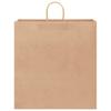 Paper Shopping Bags 250 pcs with Handles Brown 45 x 17 x 48 cm