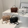 2025 Summer New Trend Simple Oblique Span Simple Commuter Niche Small Square Bag Fashionable Shoulder Popular Bag