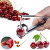 Kit Handheld Machine Tool Kitchen Olive Fruit Remover Pitter Seed Fruit Kitchen Dining Bar Kids Vegetable Peeler Free Shipping