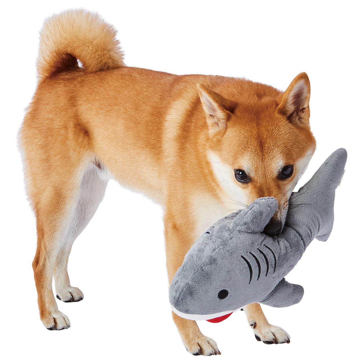 

MATE Aquamate Big Shark Dog Toy ADD.