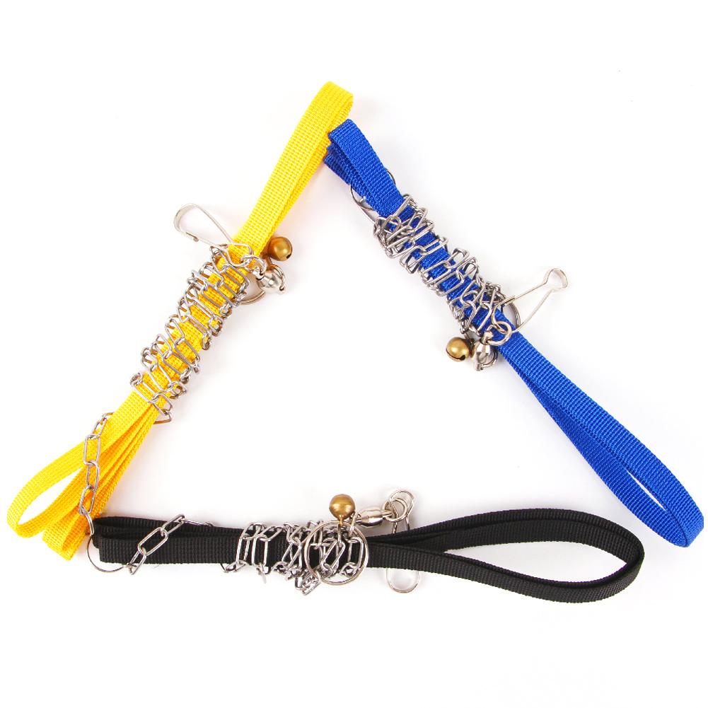 Tortoise Leash Wear-resistant Adjustable Size Safety Traction Rope Harness Strap for Tortoise Turtle Pet Turtle Supplies