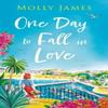 One Day To Fall In Love by Molly James Paperback Book 9781529427011