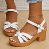 Fashion Women's Braided High Heels Sandals 2025 Summer Chunky Platform Gladiator Sandals Woman Ankle Straps Vacation Casual Beach Shoes