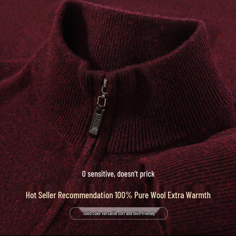 Antonio Men's 100% Merino Wool Half-Zip Sweater