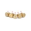 5 Pcs LPG Gas Jet Set Burner Gas Hob LPG Conversion Kit Nozzles Propane Injector Cooker Hobs Gas Cooking Stove Gas Jets
