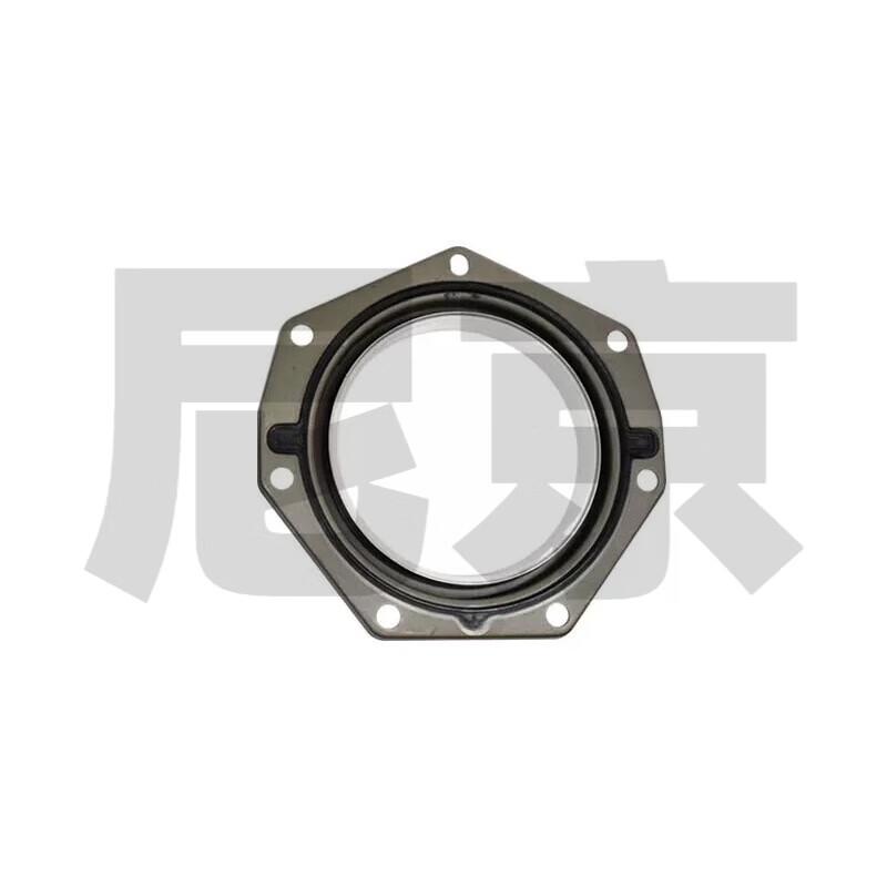 Nijing Crankshaft Rear Oil Seal Assembly