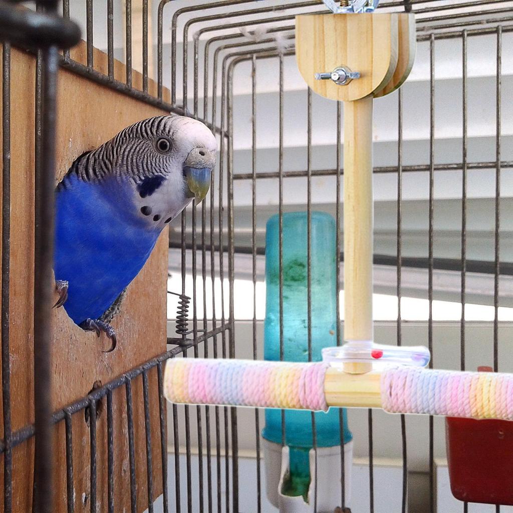 Vogelständer Vogel Baumwollseil Sitzstangen Papagei Schaukel Spielzeug Hängematte Käfigzubehör für Finken Unzertrennliche Wellensittiche Bewegung