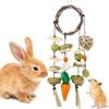 Grinding Natural Guinea Pigs Bunny Cage Accessories Molar Rattan Ring Buuny Chew Toy Rabbit Treats