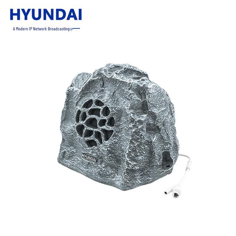 Hyundai IP Network Broadcasting Audio Systems CN plug (adapter included)