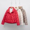 Winter warm new down jacket women's stand-up collar slim temperament small simple solid color coat tide
