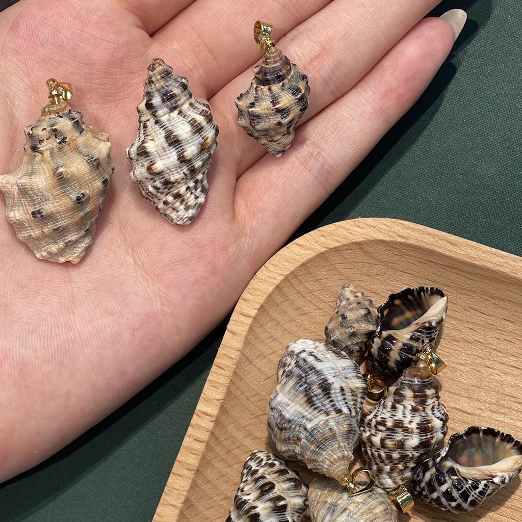 10Pcs Natural Black Rib Conch Shell Charms 12×20~22×35mm Seashell Pendants With Gold Bail Beach Jewelry DIY
