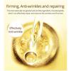 1PC 20G Herbal Anti Aging and Reduces Wrinkles and Fine Lines Day and Night Face Eye Cream Beauty
