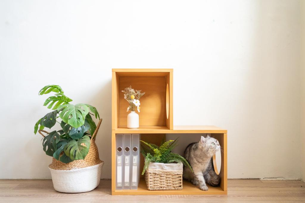 Katzenbaum einfache Montage Werkzeuge erhältlich in 3 Zweistufiges Regal, wasserabweisend, leicht, langlebig, (nicht erforderlich), Größen.