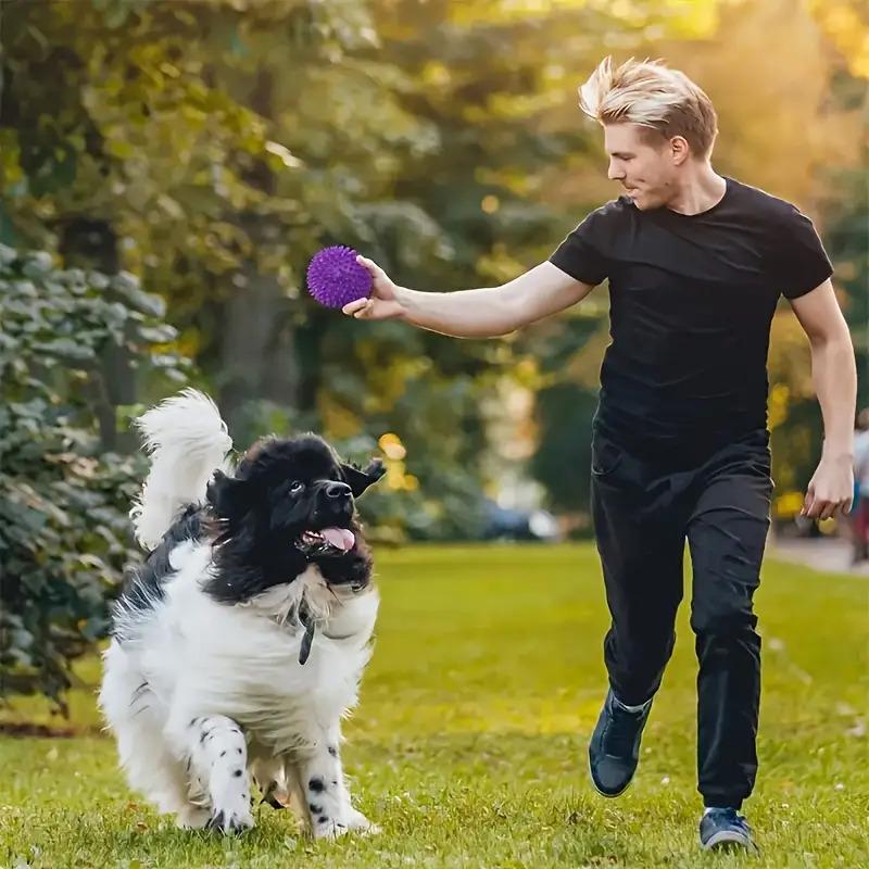5 Stück Langlebige Stachelige Hundekauspielbälle | Ungiftig, Interaktives Spiel- und Zahnpflegespielzeug für Alle Rassen, Ideal für Starke Kauer