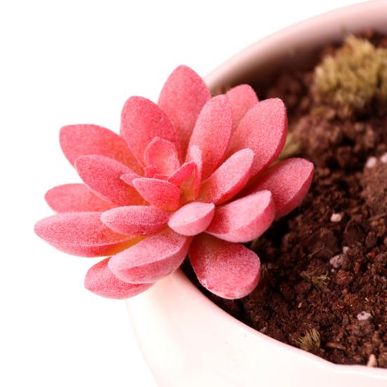 Mini Künstliche Sukkulenten Realistische Fake Kleine Kakteen Pflanzen Bunte Kunststoffe Beflockte Topflose Pflanzen für Garten Blumentopf Küche Heimdeko