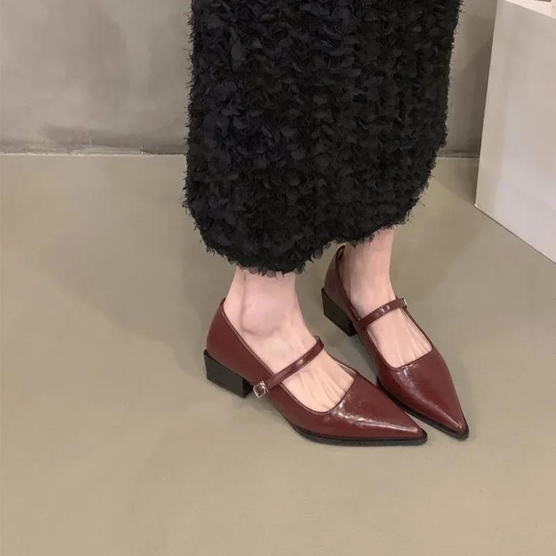 Fashion Retro Style Thick Heel Women Mary Jane Shoes Fashion Shallow Pointed Toe Ladies Comfort Office Pumps Footwear