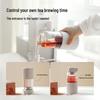 Buydeem Tea Infuser Glass Tumbler