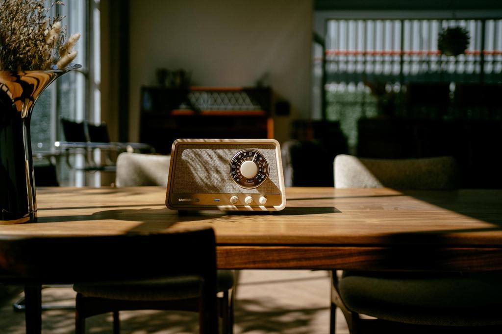 X HD kompatibilní rádio Bluetooth reproduktor s prémiovou dřevěnou skříní []Sangean WR-101 AM/FM/apt Bluetooth/AUX (bílý dub)