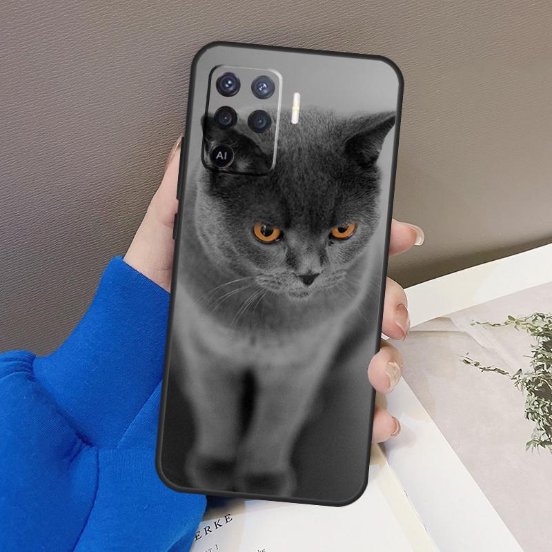 British Shorthair Cat Case For Oppo A78 A38 A18 A98 A58 A60 A80 A40 A96 A76 A16 A94 A74 A54 A15 A17 A57 A77 A5 Pro