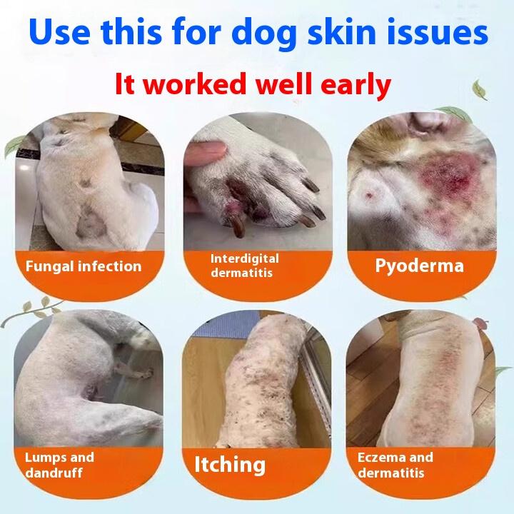 Yishuanbao Tabletter Spesialmedisin for Kjæledyrdermatologi Oral Administrasjon Katt Mugg Hund Mugg Flass Hårfjerning Hudsårdannelse Soppinfeksjon