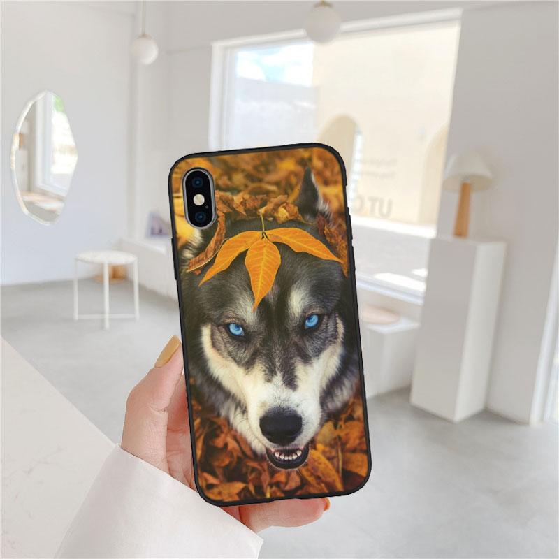 CJ66 Husky Puppy Dog Soft Shell Phone Case for Samsung Galaxy S20 S21 S22 Ultra FE + Plus A21S A22 A24 A25 A26 A30 A30S A31