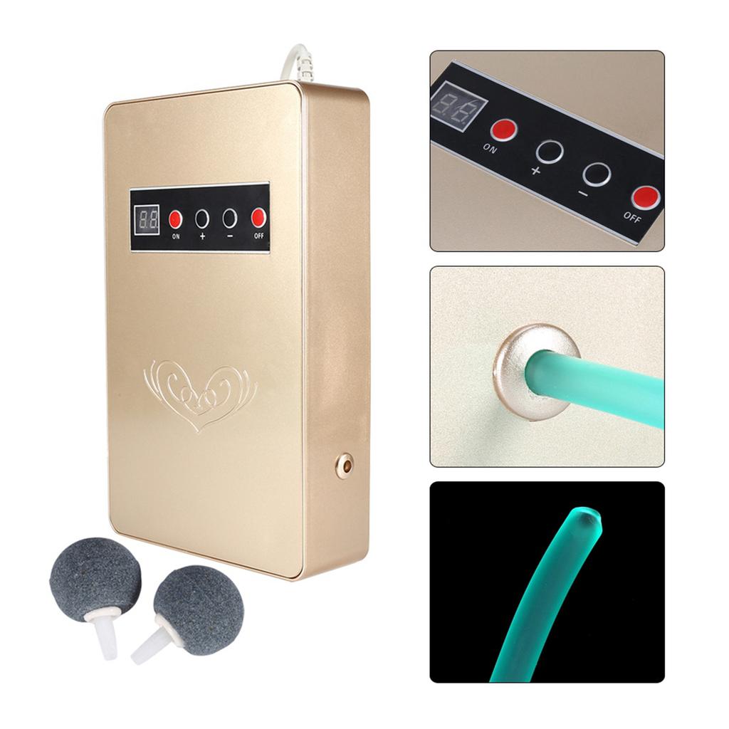 50Hz 600mgCelsiush O3 Generator Ozonator Household Water Food Vegetable Sterilizer(Golden)