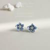 Blue Resin Flower Plant Stud Earrings For Women Classic Fine Jewelry Exquisite Light Luxury Accessories