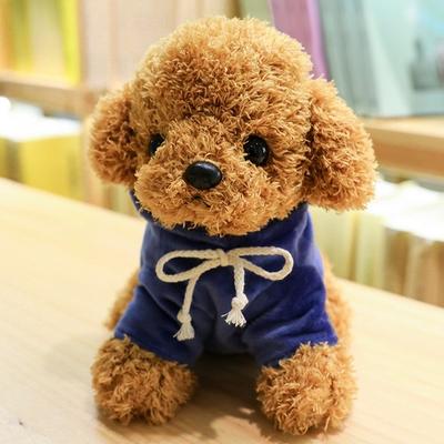 Nature Times Soft Poodle Kapşonlu Köpek Peluş + Poodle Anahtarlık, 20cm, Lacivert Başlık, Koreli çocuklar için popüler oyuncaklar