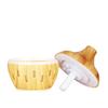 USB Rechargeable Humidifier & Air Purifier for Home, Safe for Pregnant Women and Babies