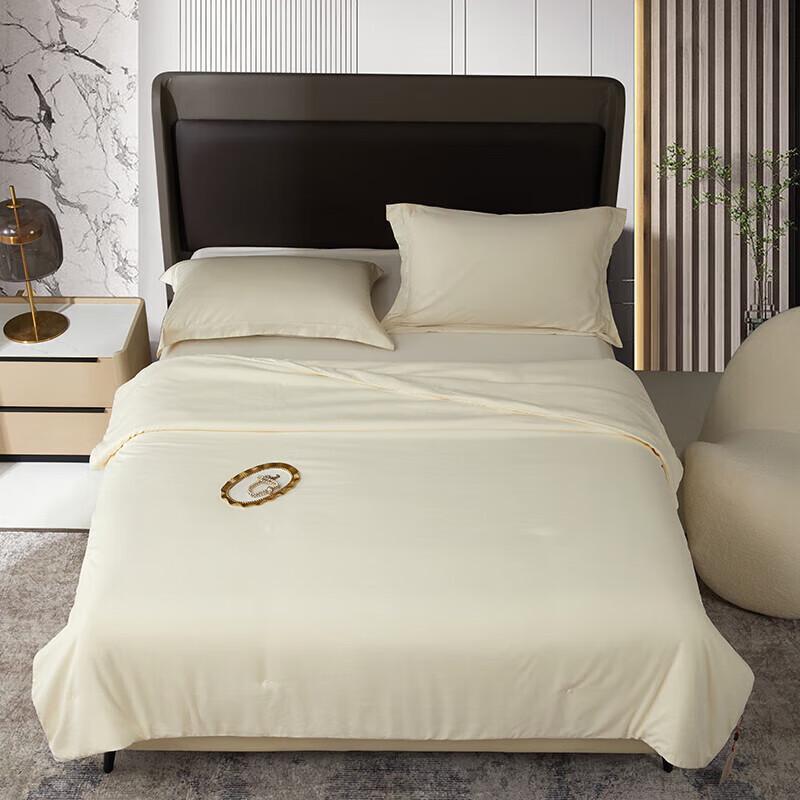 

HONGDOU All-Season Soybean Fiber Quilt