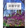 Deep Learning: Advanced Techniques In IT Business & Economics Book