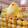 MINISO Cartoon Animal Doll Cute Yellow Chicken Plush Stuffed Toy Soothing Doll Soft Pillow Kawaii Children's Birthday Gift