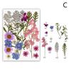 Dried Flower Leaf Kits for Epoxy Jewelry Molds Scrapbooking Supplies and Artistic Soap Making Phone Case Decoration