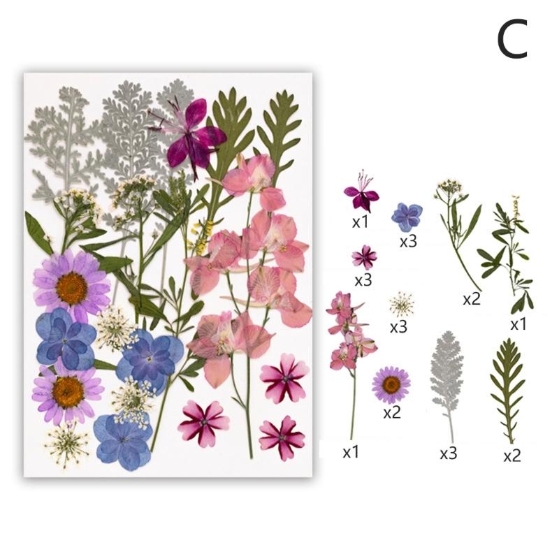 Dried Flower Leaf Kits for Epoxy Jewelry Molds Scrapbooking Supplies and Artistic Soap Making Phone Case Decoration