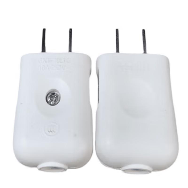 Ruitai 10A Detachable 2-Pin Plug CN plug (adapter included)