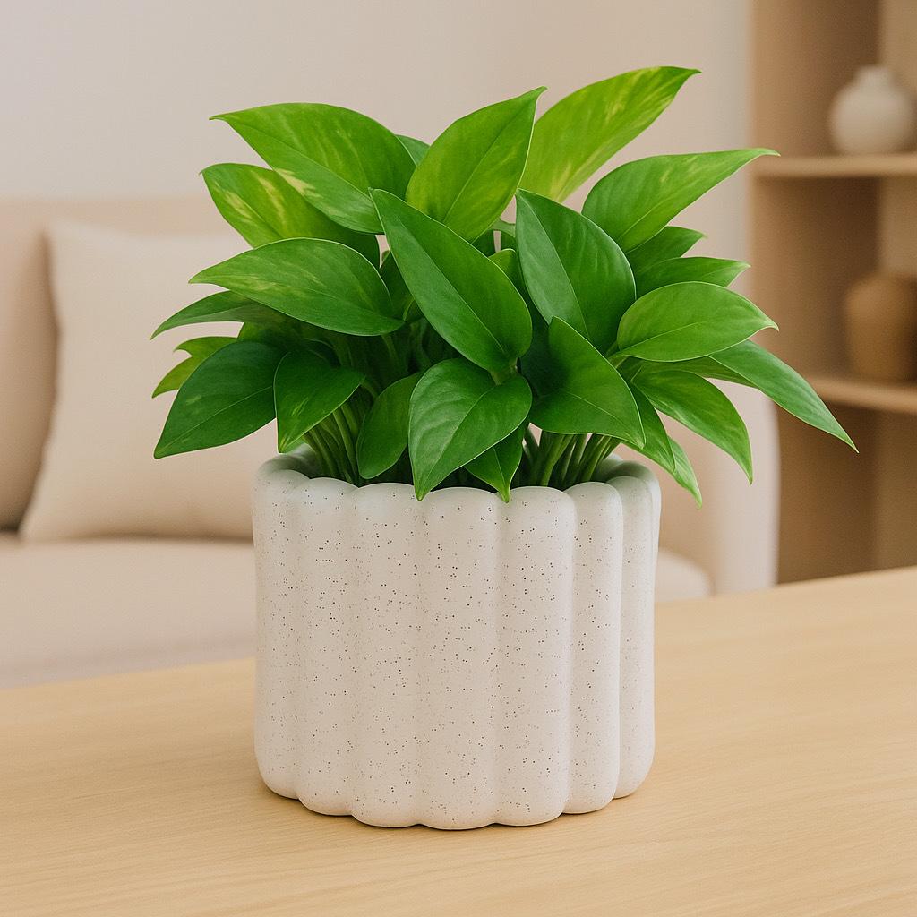 Nordic Ceramic Orchid Vase - Light Luxury Style for Small Plants