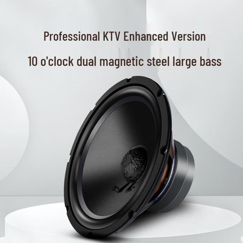 SANSUI M11 Home KTV Karaoke System CN plug (adapter included)