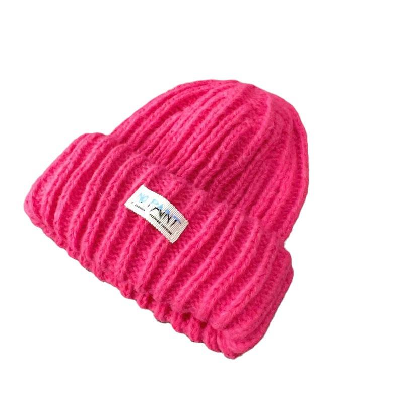 Fashion Cloth Label Knitted Baotou Cap Women's Cycling Travel Versatile Ear Protector Pullover Wool Cap