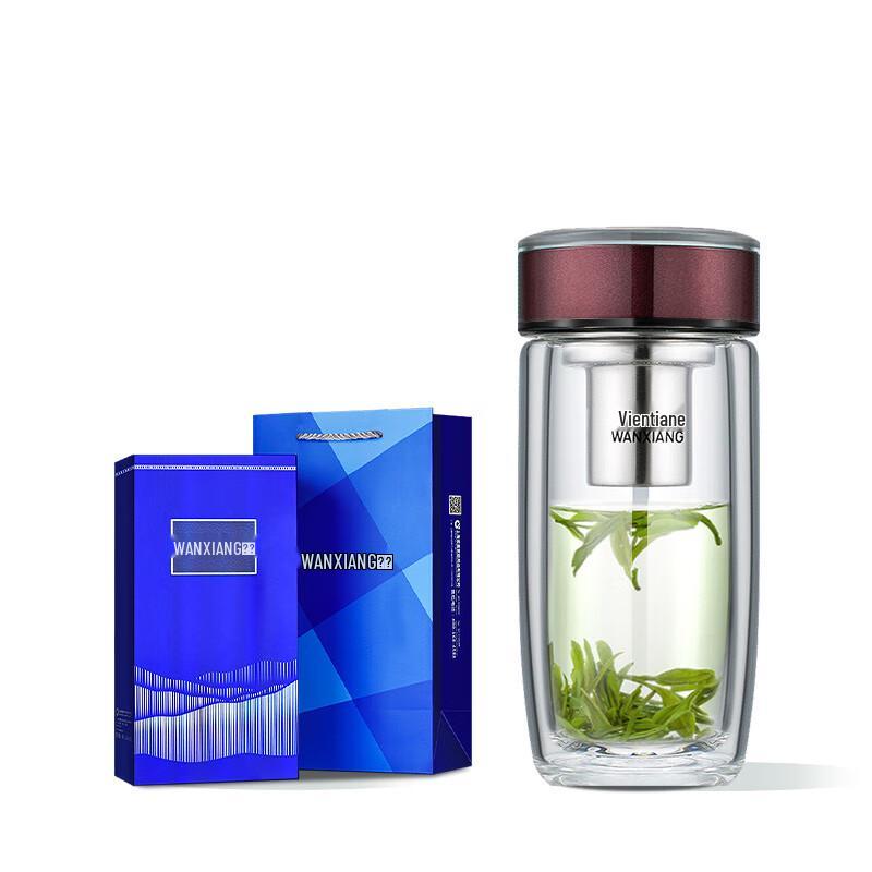 Portable Double-Wall Glass Tea Infuser Bottle